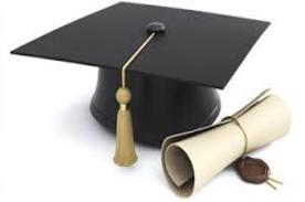 Doctoral thesis Discussion