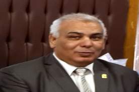 Prof. Kamal Abo Al-Majd wins the Academy of Scientific Research and Technology award