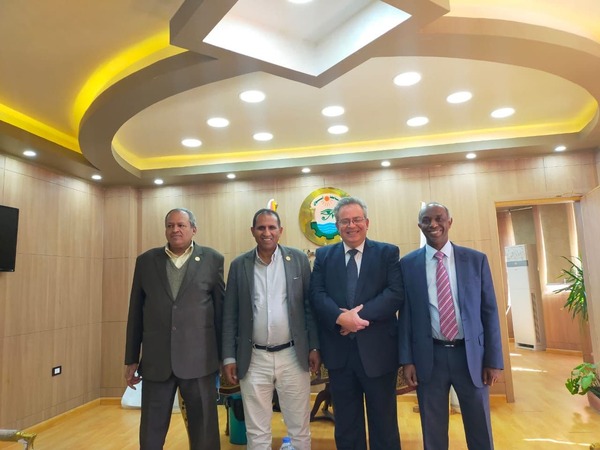 Aswan University President receives the Arts Sector Committee