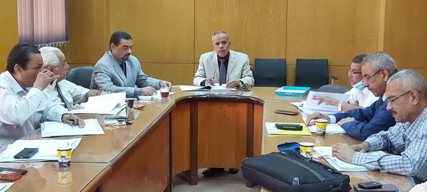 مجلس الكلية _ جامعة أسوان رقم (٣٠٦)