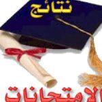 نتيجة امتحانات الفرقة الثانية عام