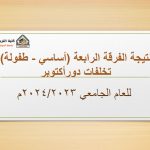 نتيجة الفرقة الرابعة (دور ثاني) للعام الجامعي 2023/2024