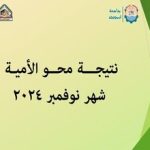 نتيجـــة محــو الأميـة عن شهر نوفمبر 2024