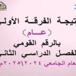 نتيجة الفرقة الأولي عام بالرقم القومي للفصل الدراسي الثاني للعام الجامعي 2024/2025م